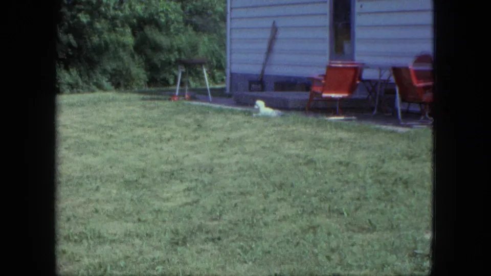 The white dog remains near the trailer on a Saint Paul lawn, with red patio seating and a grill visible behind it.