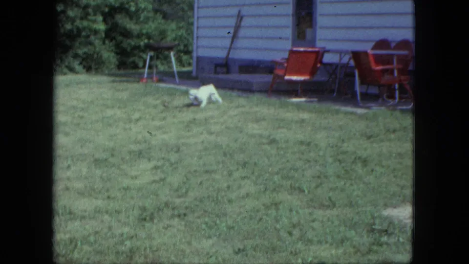 In the 1963 Saint Paul yard, the small white dog begins to get up and move away from the trailer-side patio area.