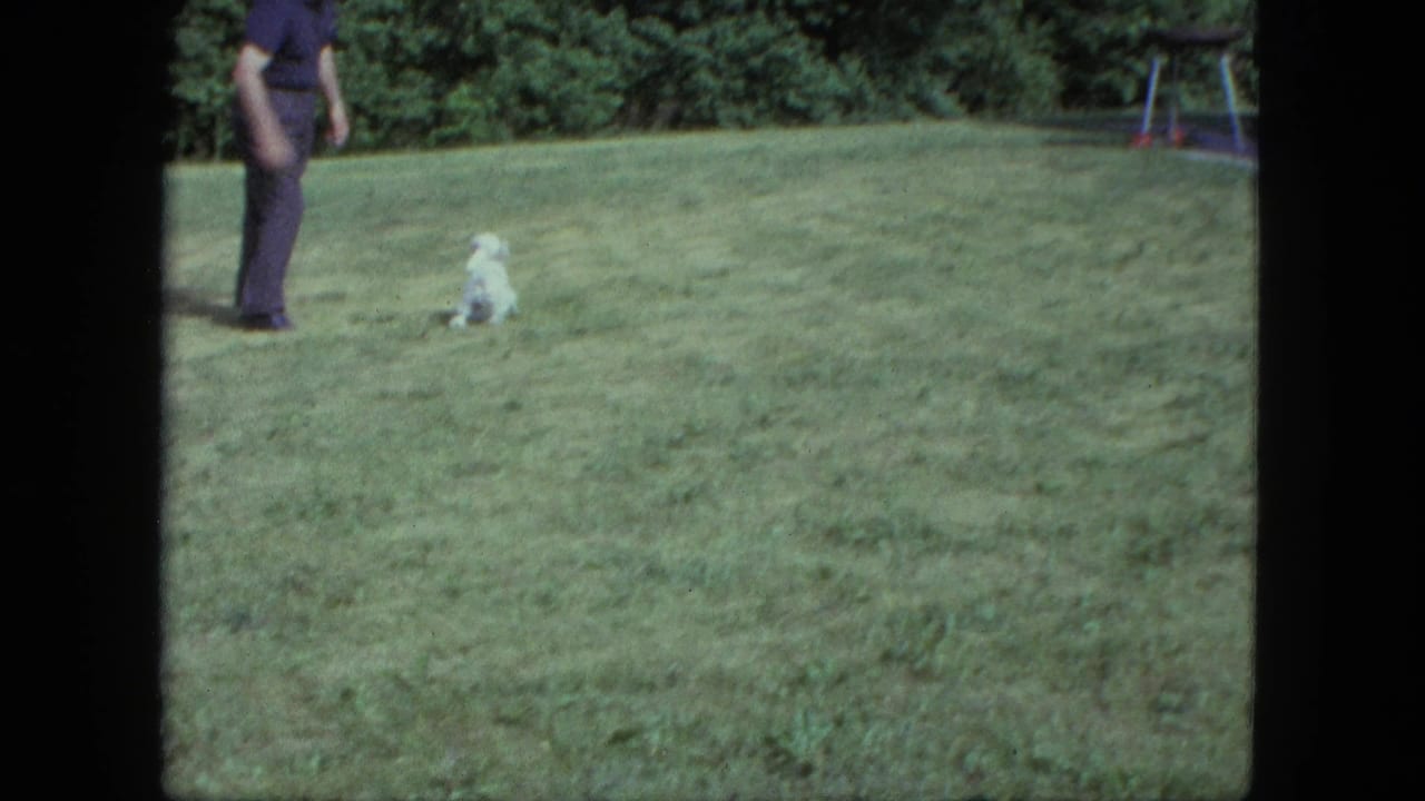 In a 1963 Saint Paul backyard, a man in dark clothing stands near a small white poodle on the grass.