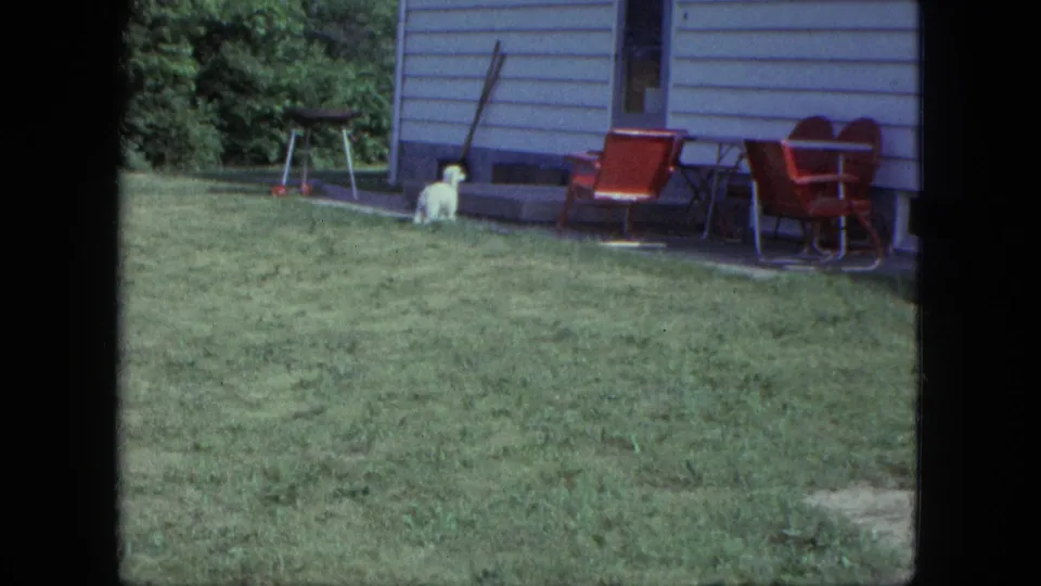 The small white poodle stands near the house in a 1963 Saint Paul backyard, with red patio chairs and a grill visible nearby.