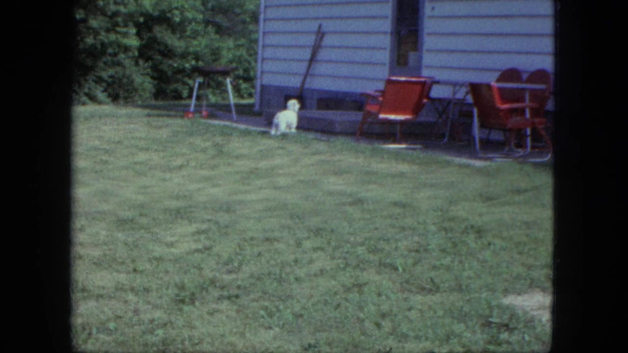 1963 Saint Paul backyard view with a small white dog on the lawn near red patio furniture and a light-sided house.