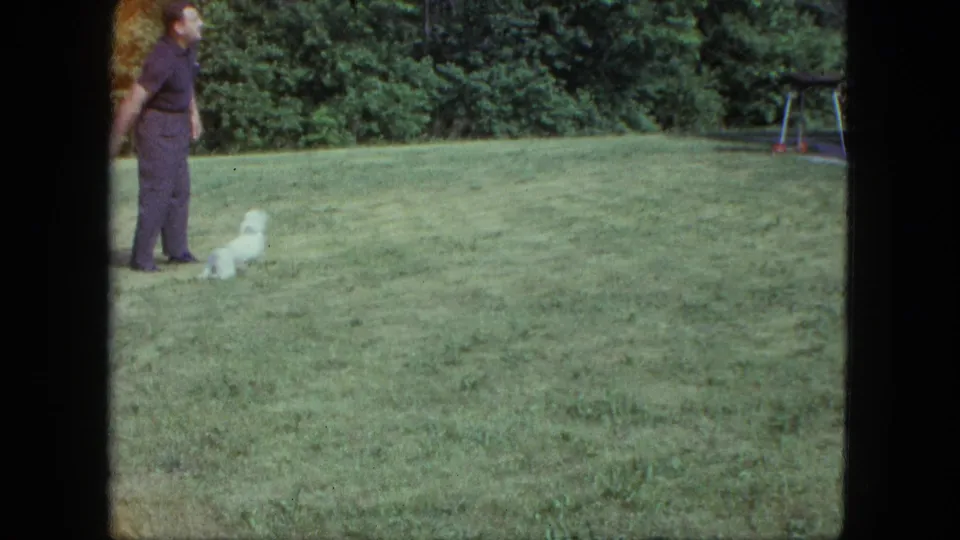 Adult man stands beside a small white dog in a 1963 Saint Paul backyard, framed by lawn, trees, and a swing set.