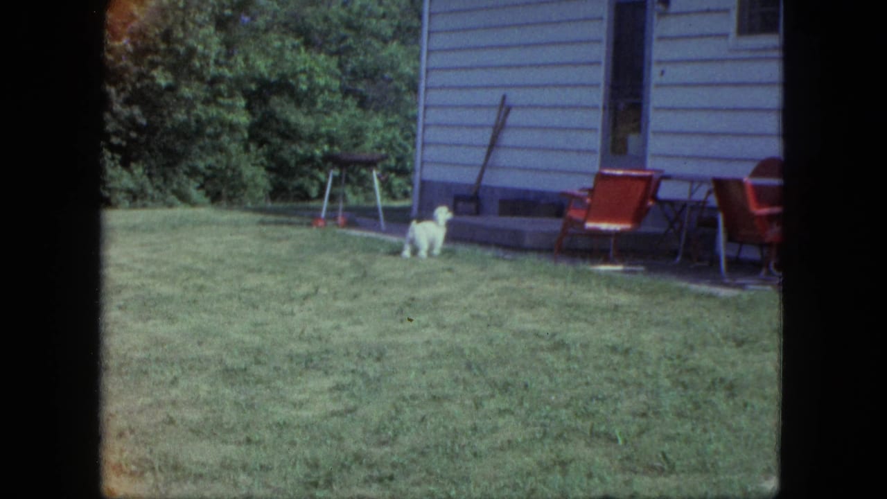 White puppy in a Saint Paul backyard near light house siding, red lawn chairs, a grill, and a broom in 1963 home-movie footage.