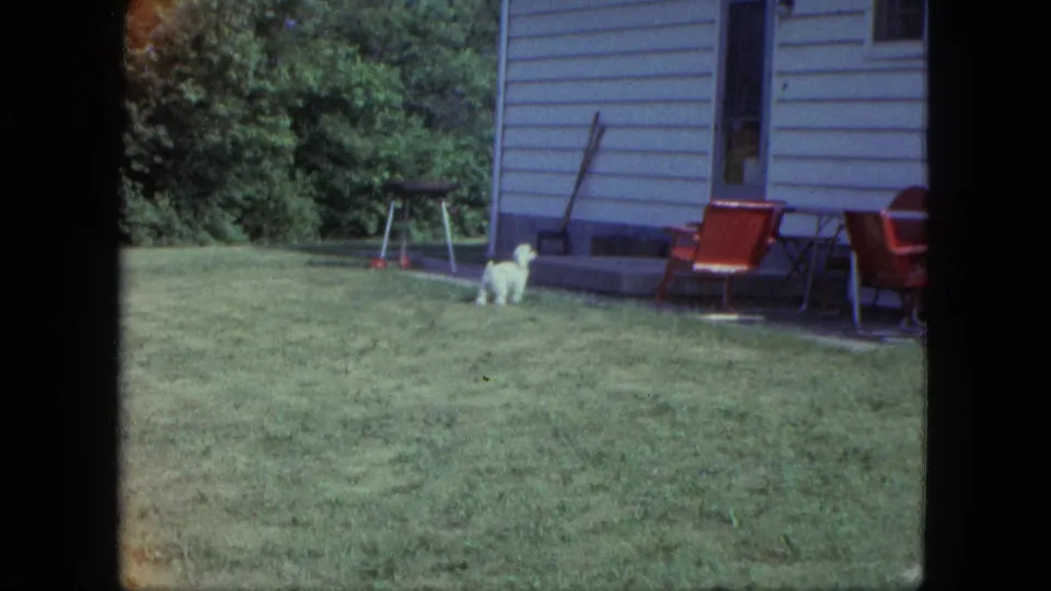 White puppy in a Saint Paul backyard near light house siding, red lawn chairs, a grill, and a broom in 1963 home-movie footage.