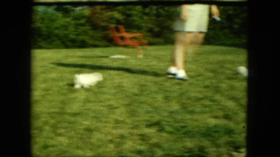 1963 Saint Paul frame with a woman in a light outfit standing on grass near a red lawn chair and a white puppy.