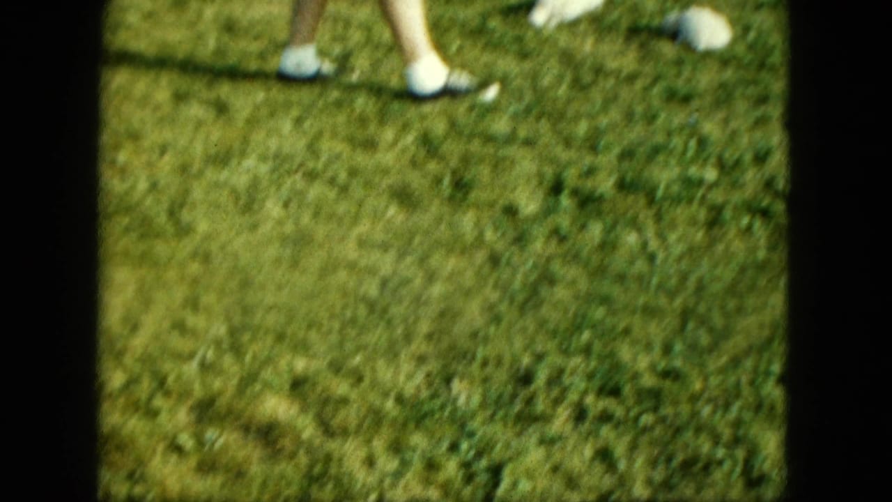 Close view of grass with a person's lower legs and white shoes partly visible at the top edge.