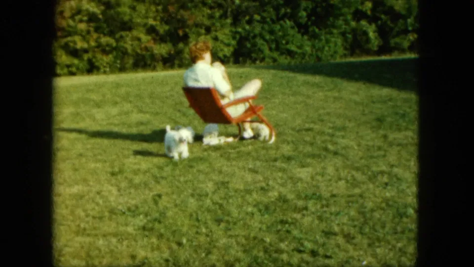 1963 Saint Paul backyard frame with a woman seated in a red chair and two small white dogs near her feet on the lawn.