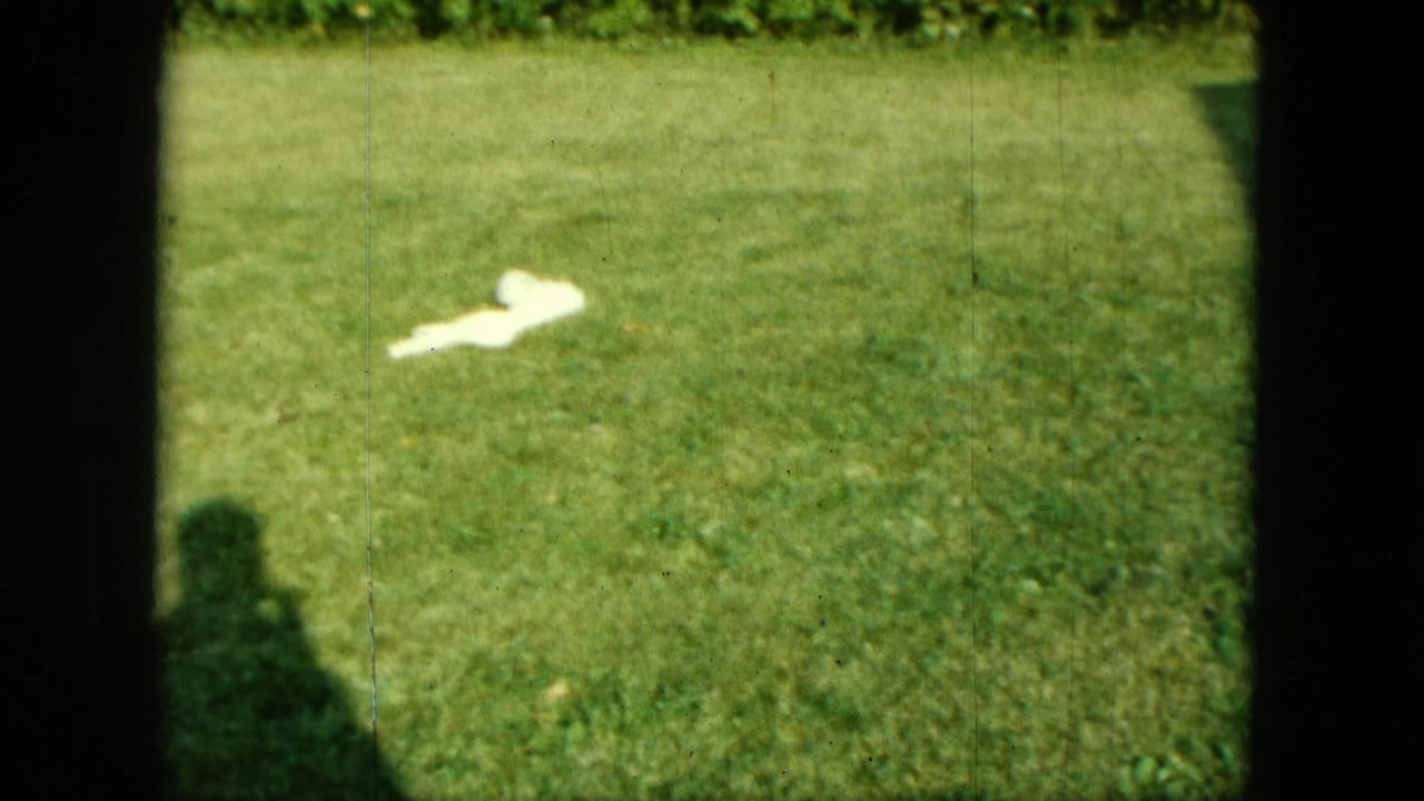 White puppy stretched on a sunlit lawn with shrubs at the top of frame and a faint operator shadow.