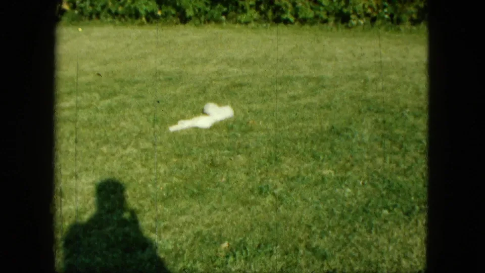 The final frame shows the white puppy low on the Saint Paul lawn, bordered by dark 8mm edges and marked by the camera operator's shadow in the foreground.