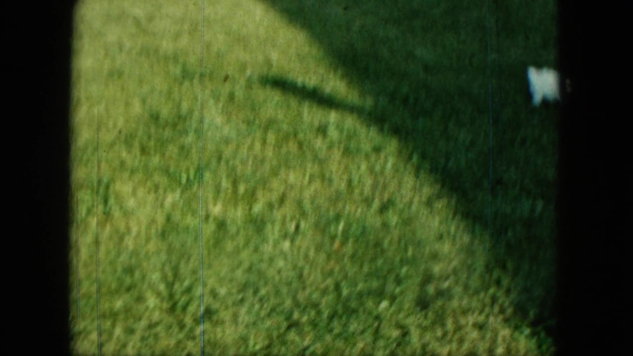 Small white puppy on green grass near a dark vertical film edge.