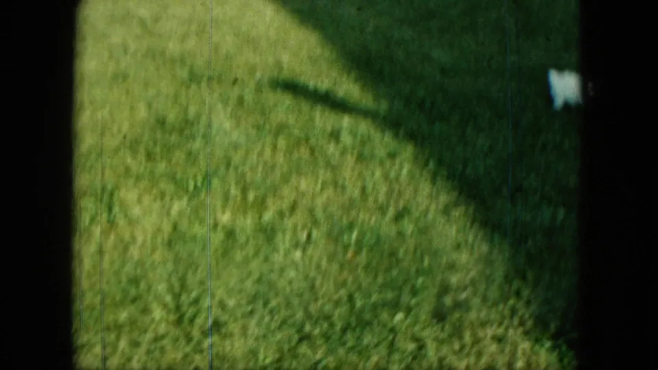 1963 Saint Paul 8mm frame showing a small white puppy on a sunlit green lawn with dark film border and soft focus.
