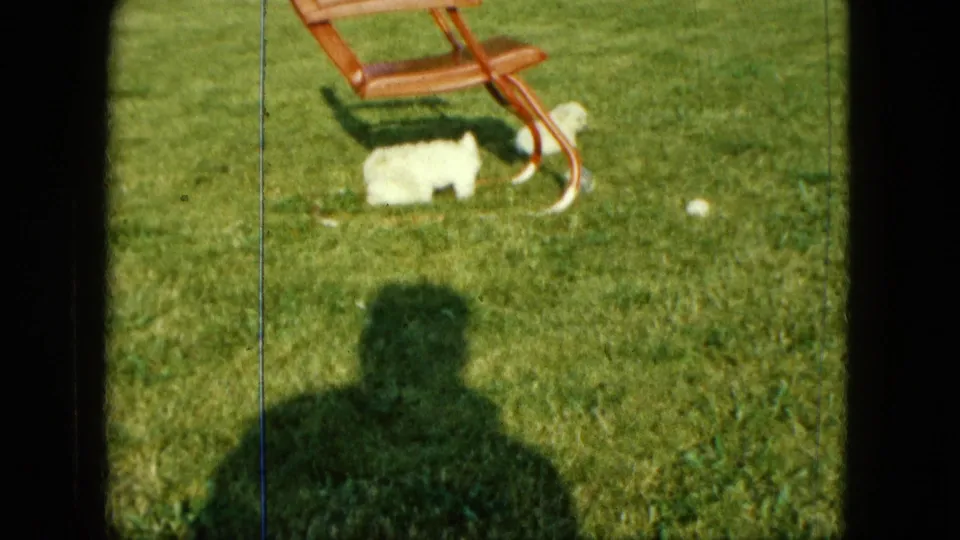 White puppy stands near the lawn chair on grass, with the filmmaker's shadow visible in this 1963 Saint Paul home-movie frame.
