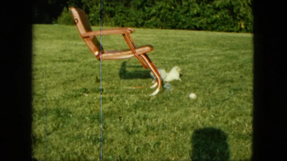 1963 Saint Paul 8mm frame showing a white puppy, wooden lawn chair, hedge, and small ball in a suburban yard.
