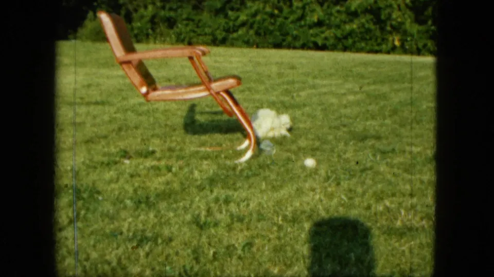 1963 Saint Paul 8mm frame showing small white dogs gathered beside a wooden lawn chair with a ball visible in the grass.