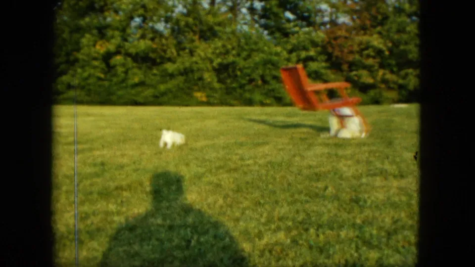A small white puppy moves across the sunny Saint Paul lawn toward a red chair, while the filmer's shadow dominates the foreground.