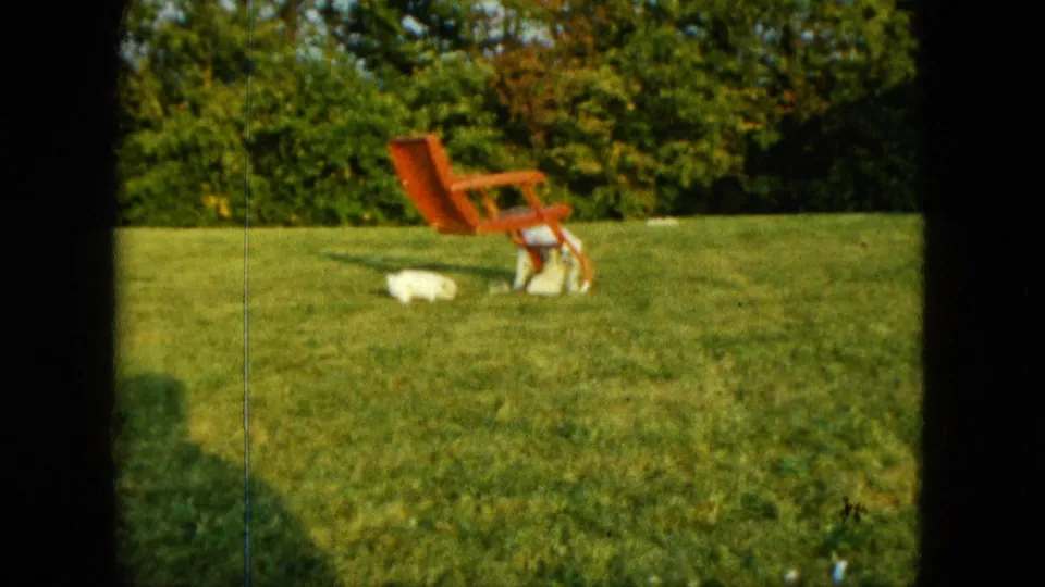 Near the end of the 1963 Saint Paul clip, a white puppy is low on the grass beside a red outdoor chair in warm sunlight.