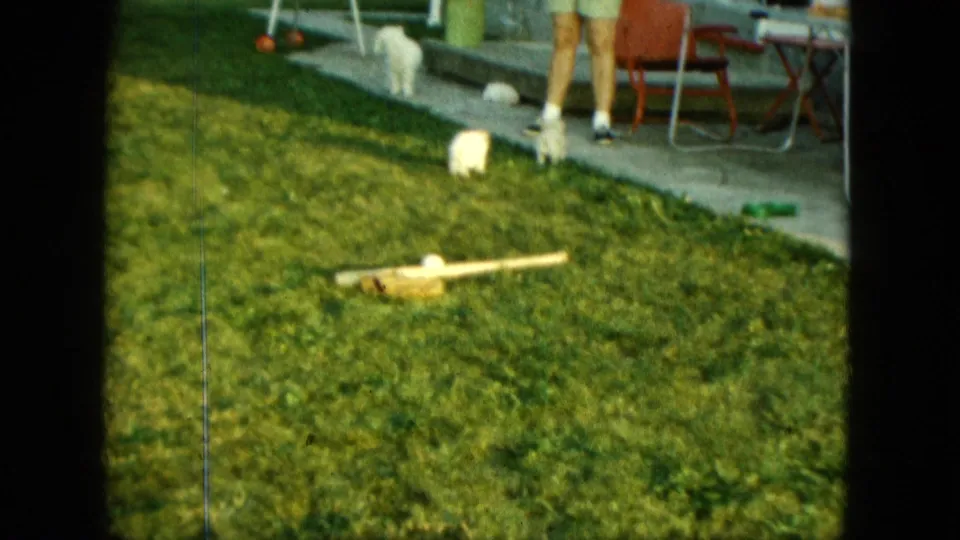 The Saint Paul backyard shows the poodle puppy near a patio, with adult legs, patio chairs, a croquet mallet, and a ball visible.