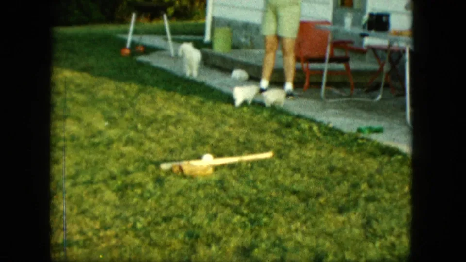 A white poodle puppy stands by the patio in the Saint Paul backyard, with adult legs, a red chair, croquet equipment, and lawn visible.