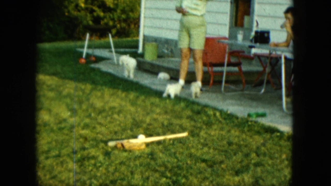 Woman in green shorts stands on a patio while small white puppies move near the lawn.