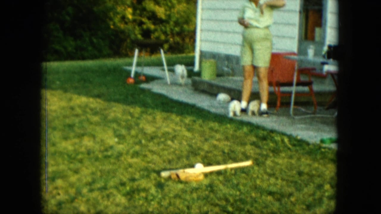 Saint Paul backyard scene from 1963 with puppies on the patio edge and a woman standing near outdoor chairs.