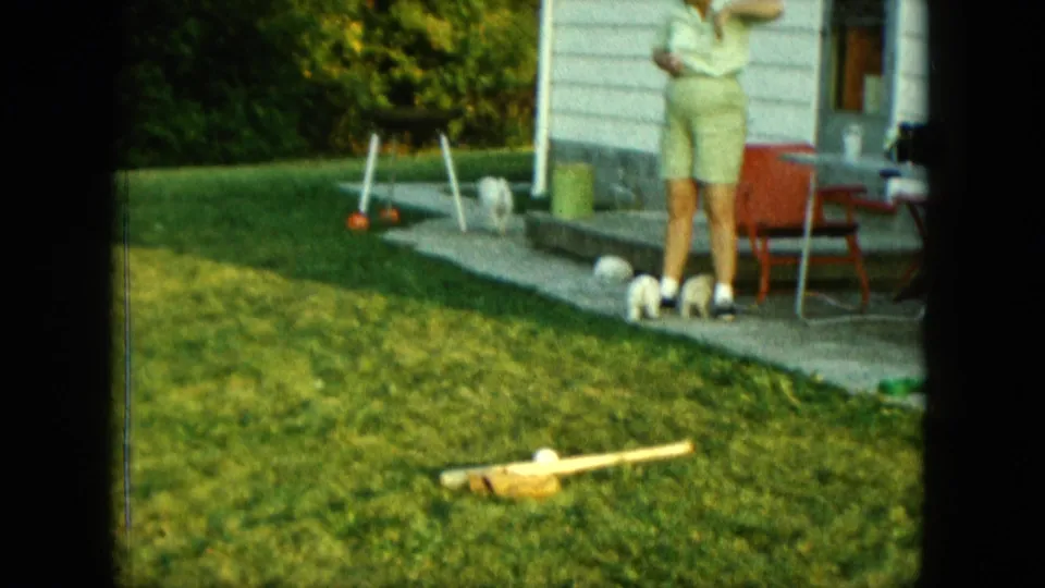 Saint Paul backyard scene from 1963 with puppies on the patio edge and a woman standing near outdoor chairs.