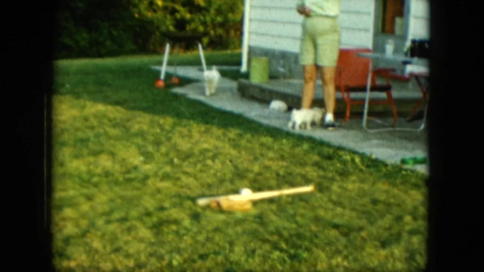 1963 Saint Paul backyard frame with white puppies moving near a woman on a concrete patio by a house.