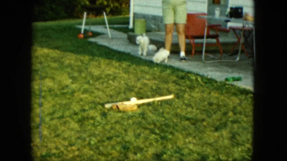 1963 Saint Paul home-movie frame showing white puppies near a patio, outdoor chairs, and an adult standing on the grass.
