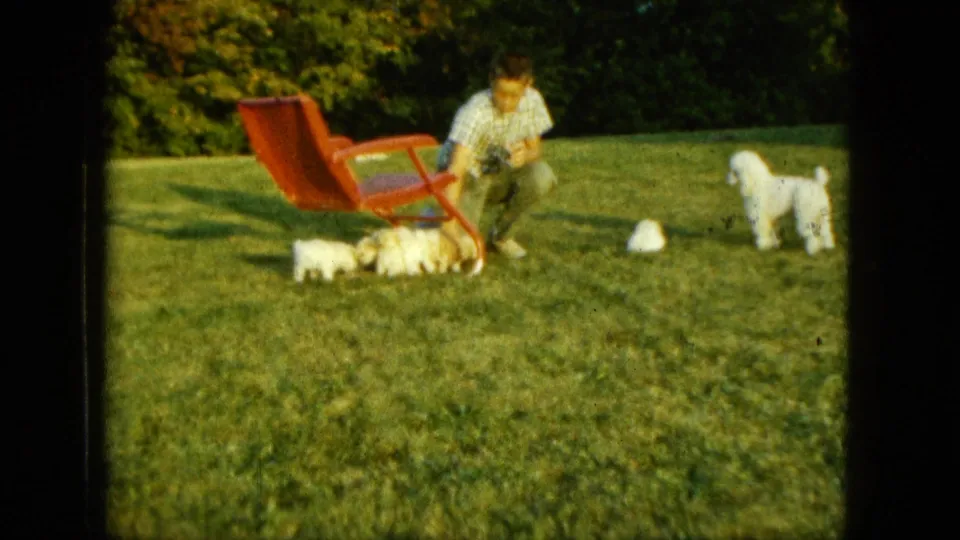 1963 Saint Paul home-movie frame of a man crouching to play with puppies while a larger white dog stands on the lawn.
