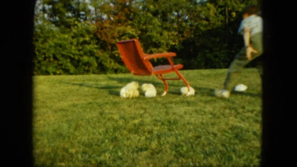 1963 Saint Paul frame showing puppies around a red lawn chair while a man in light pants moves at the edge of the lawn.