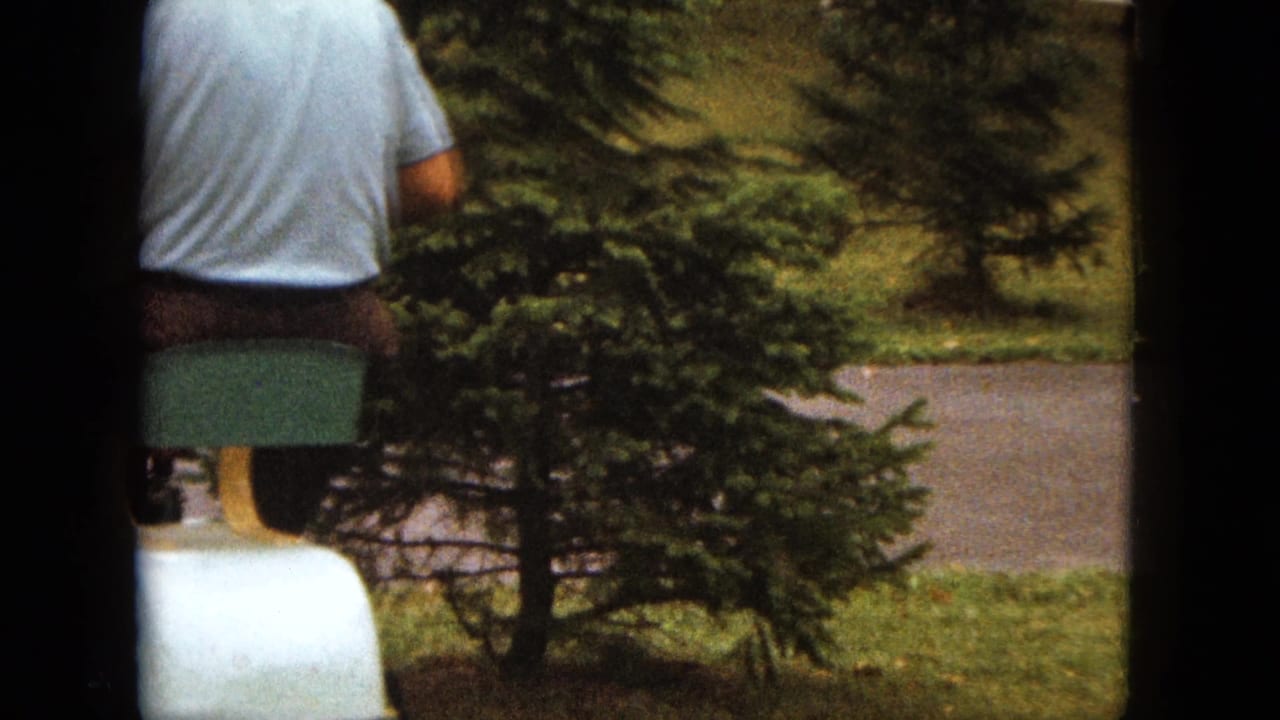 Man seen from behind on a riding lawn mower beside evergreen trees in a suburban yard.