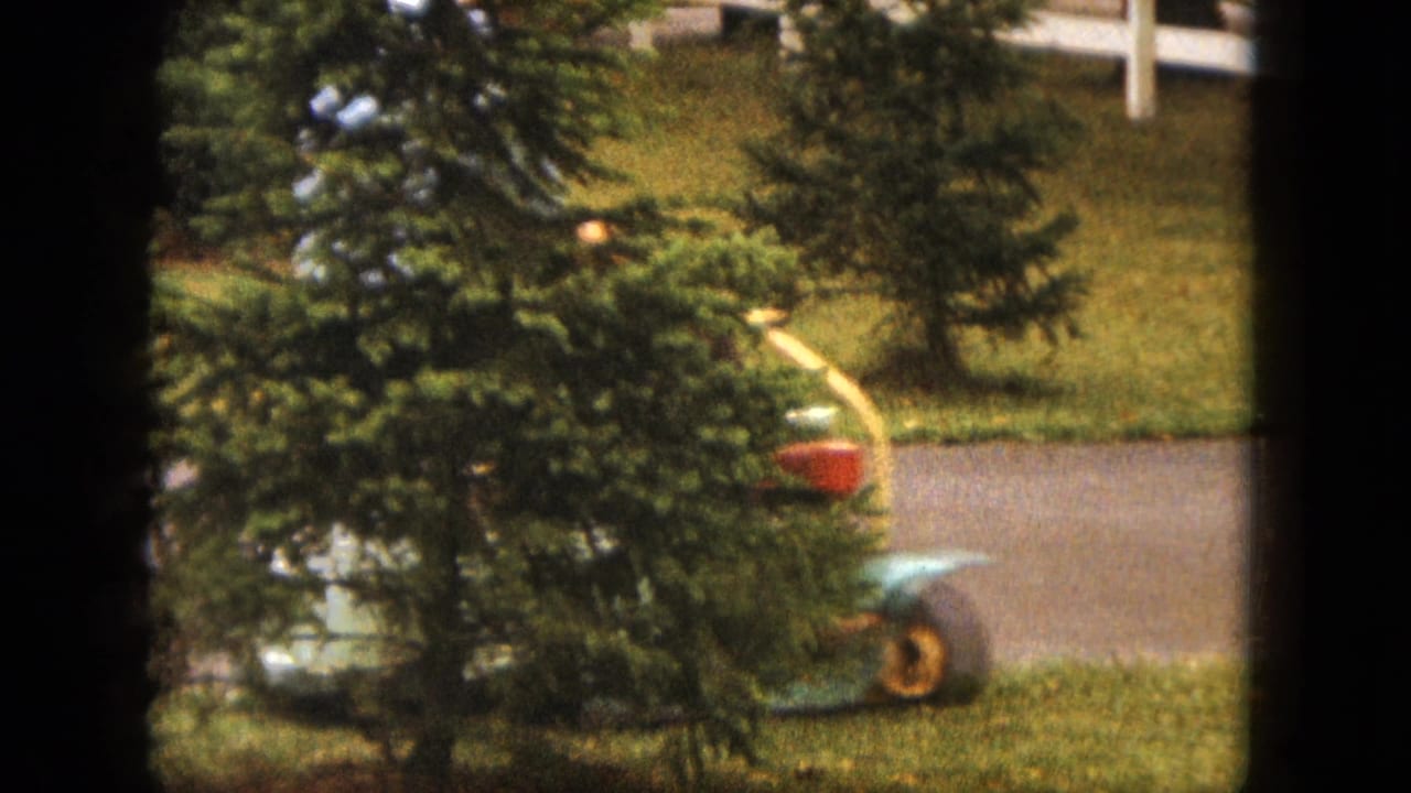 Riding mower partly hidden behind evergreen trees near a paved drive and lawn.