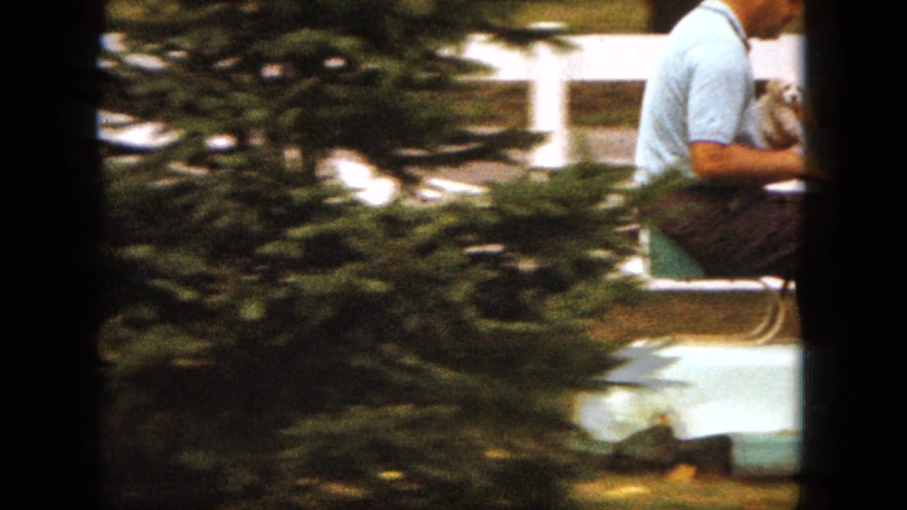 Partly obscured view of the man and puppy on the mower behind a dark film divider and shrubbery.