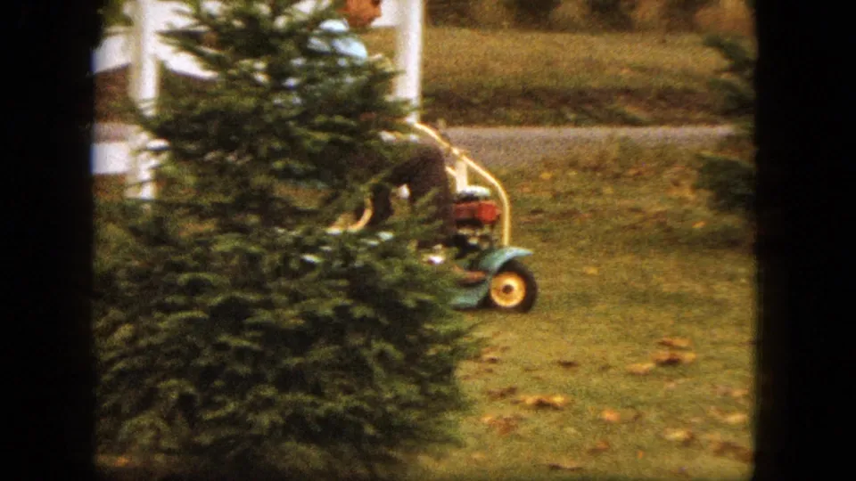 The mower passes behind an evergreen shrub in the 1963 Saint Paul yard, with the rider and small dog partly hidden by foliage.