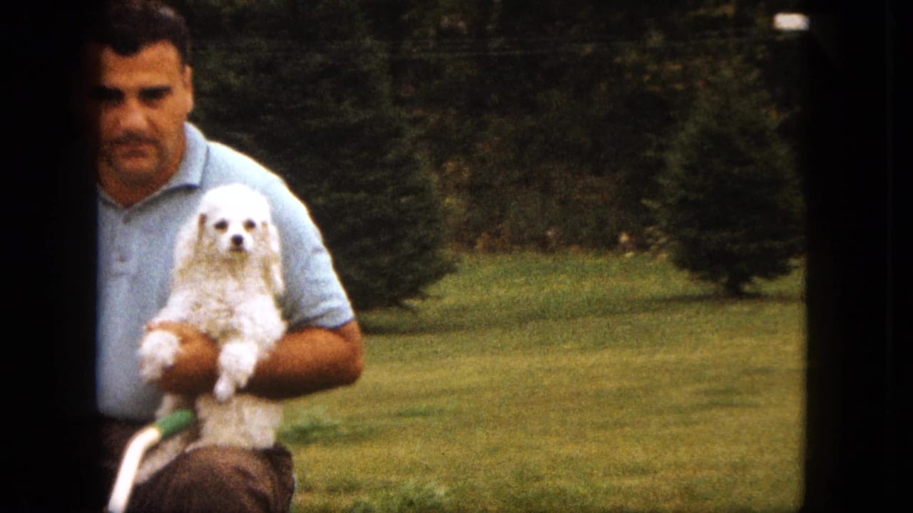 Man in a light blue polo holds a small white poodle in a grassy yard.
