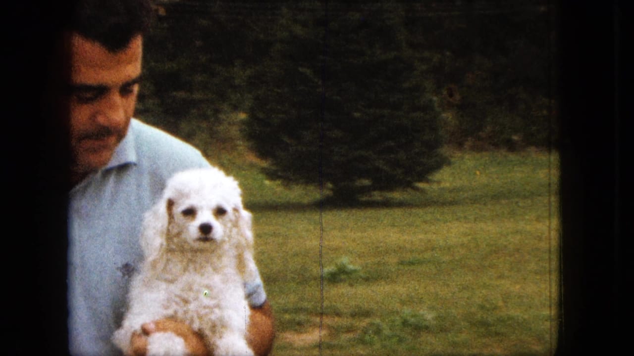 A man in a light blue shirt holds a small white poodle facing the camera in a Saint Paul backyard scene from 1963.