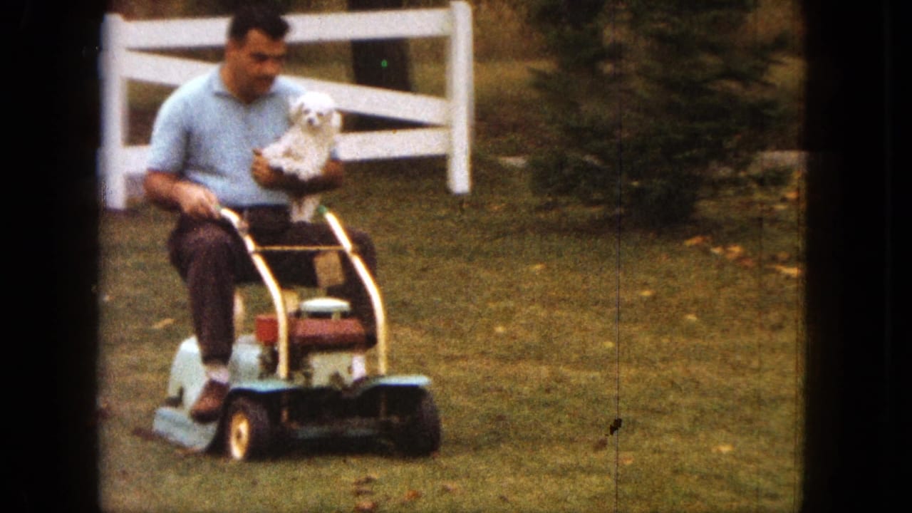 The man continues across the Saint Paul yard on a vintage mower, cradling the small white dog as it faces outward.