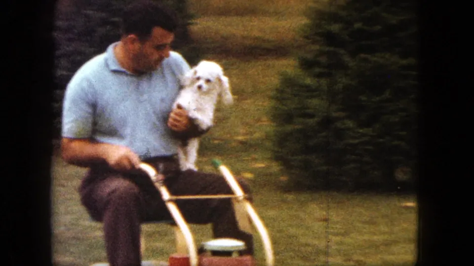The man glances at the small white dog he is holding as the mower passes evergreen shrubs in the Saint Paul yard.