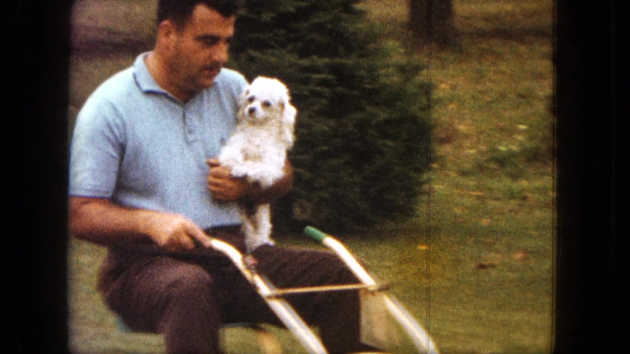 Man in a light blue polo rides a bicycle while holding a small white dog in a grassy yard.