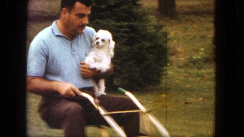 1963 Saint Paul home-movie frame of a man in a light blue polo riding a bicycle while holding a small white poodle near trees.