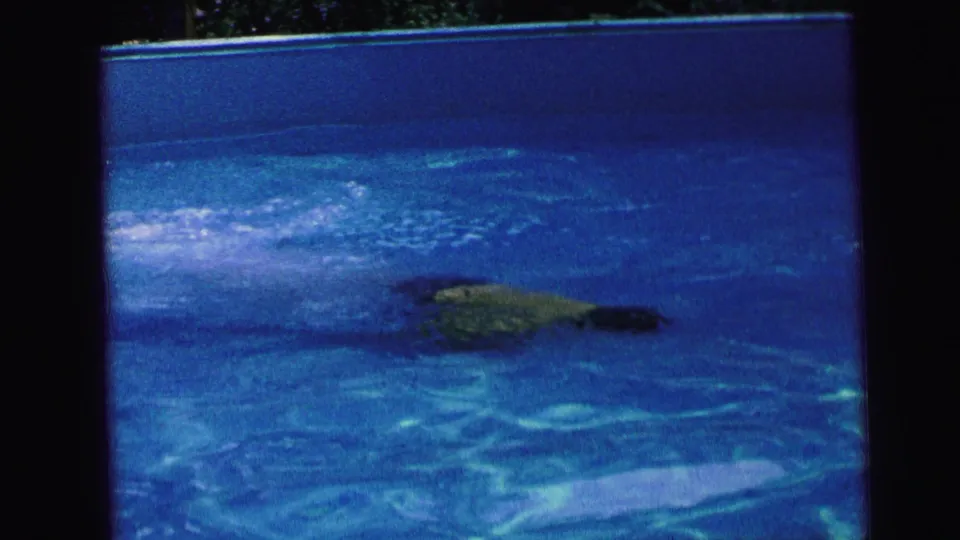 The underwater swimmer moves across the frame through rippling pool water in vintage 8mm footage from Camden, New Jersey.