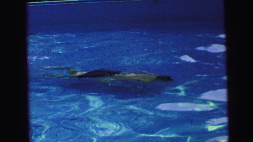 The swimmer continues across the blue pool near the surface, framed by home-movie film borders and water glare.