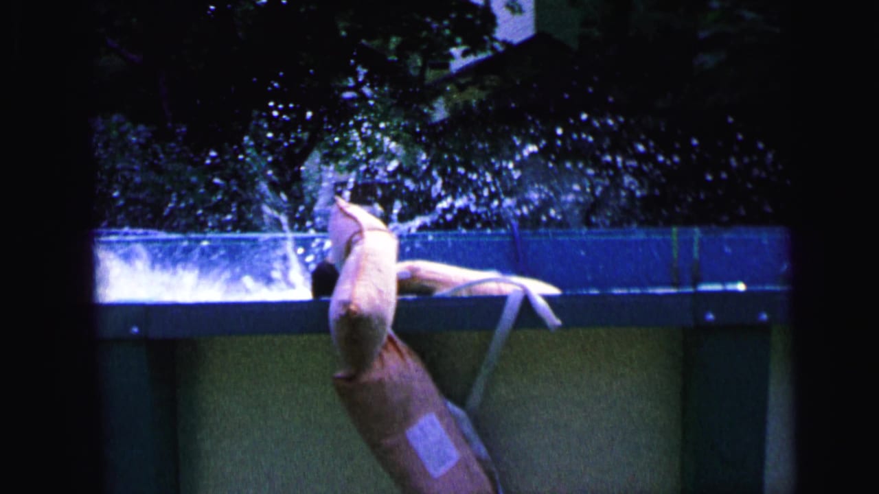 1964 Camden home-movie frame showing a person entering an above-ground pool as water sprays against trees and a house backdrop.