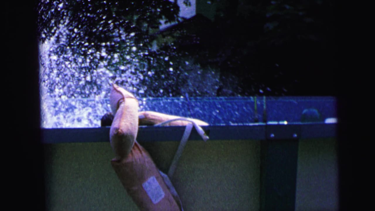 Water sprays high as a person lands in an above-ground pool beside a pool edge.