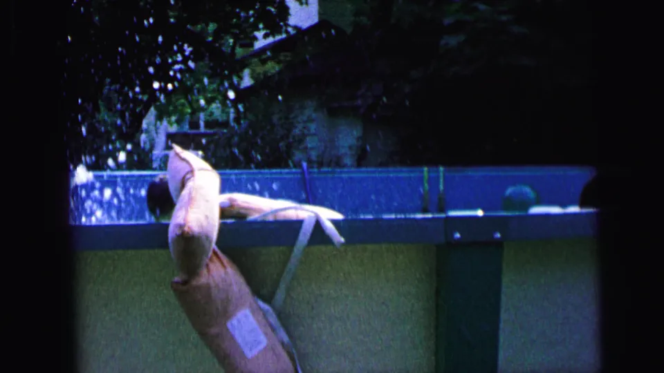 1964 Camden 8mm frame showing a swimmer near the above-ground pool edge after entering the water, with a backyard and house beyond.