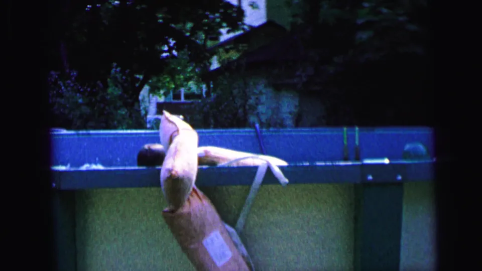 Final 1964 Camden frame with the swimmer near the pool wall, trees overhead, and a residential backdrop visible beyond the water.
