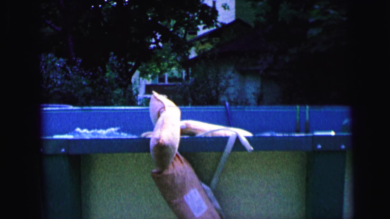 Above-ground backyard pool with splashing water, a pale poolside object, trees, and a house behind it.