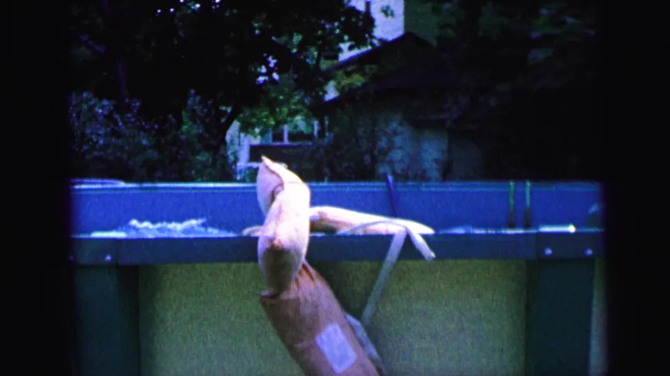 1964 Camden, New Jersey 8mm frame showing an above-ground backyard pool, blue coping, splashing water, trees, and a nearby house.