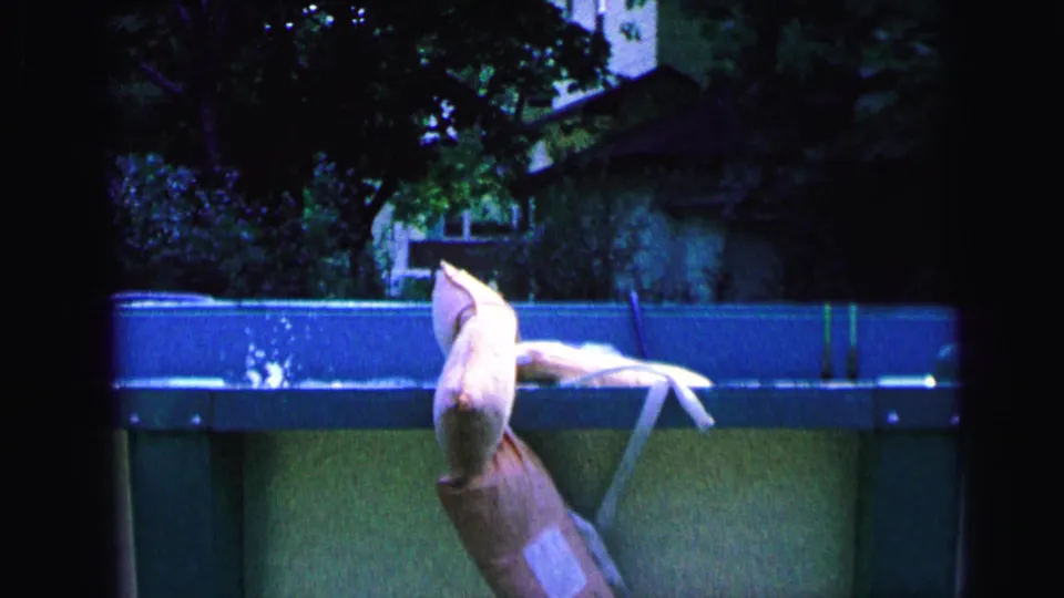 1964 Camden backyard pool scene with blue coping, a pale float-like object, water movement, trees, and a house behind the pool.