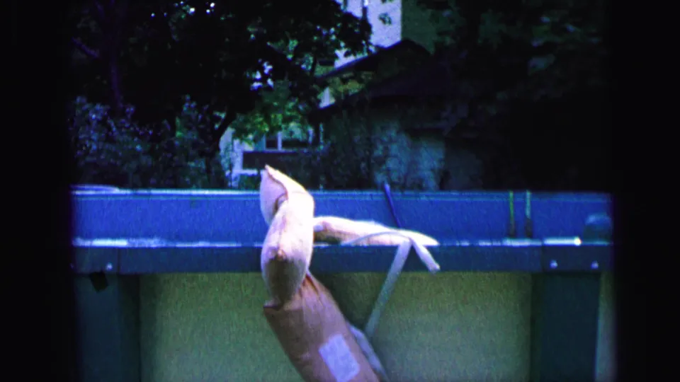 Soft 8mm frame from Camden, New Jersey showing a backyard above-ground pool, pale poolside object, trees, and a partial house exterior.