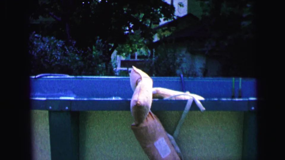 1964 Camden home-movie frame showing an above-ground backyard pool, pale object by the water, blue coping, trees, and a house beyond.
